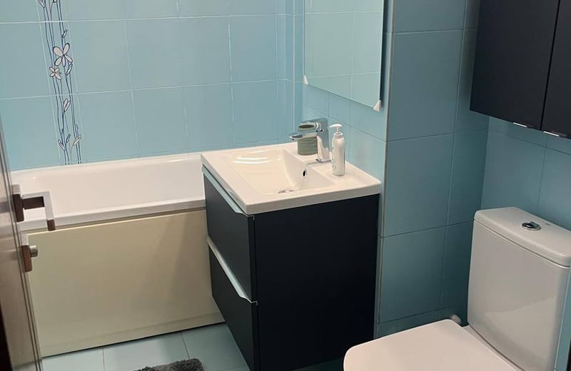 Rental of a comfortable 2-room apartment, 55 m², Casa de Cultură, Constanța, Romania